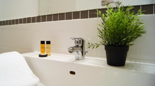 La salle de bains est pourvue d'un lavabo et d'une plante en pot. dans l'établissement Appart Hôtel Lille LOUIS, à Lille