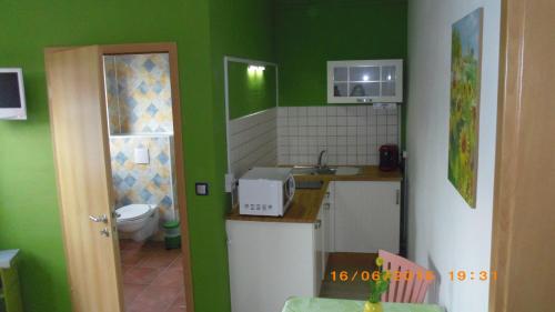 a green kitchen with a sink and a toilet at Ferienwohnung Morgensonne in Bad Schandau