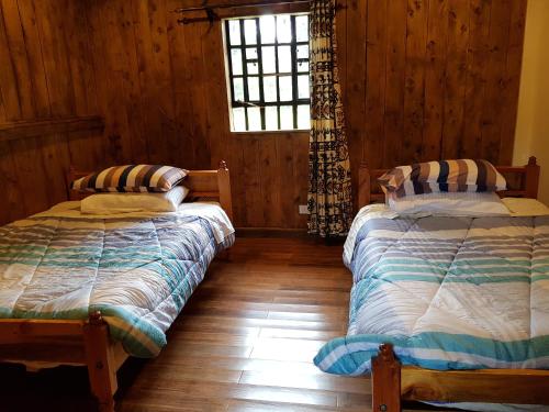 1 dormitorio con 2 camas y ventana en Ngomongo, en Nanyuki