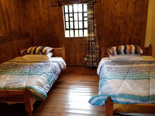 a bedroom with two beds and a window at Ngomongo in Nanyuki