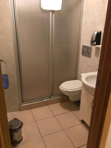 a bathroom with a shower and a toilet and a sink at Altınboynuz Family Hotel in Istanbul