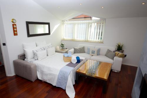 Fotografie z fotogalerie ubytování Apartment Leonardo v Rovinji