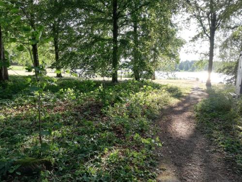 a dirt road with trees and a body of water at STF Långasjö Vandrarhem in Långasjö