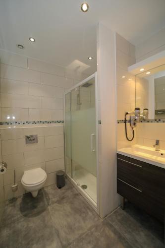 a bathroom with a shower and a toilet and a sink at L'Escale in Bonifacio
