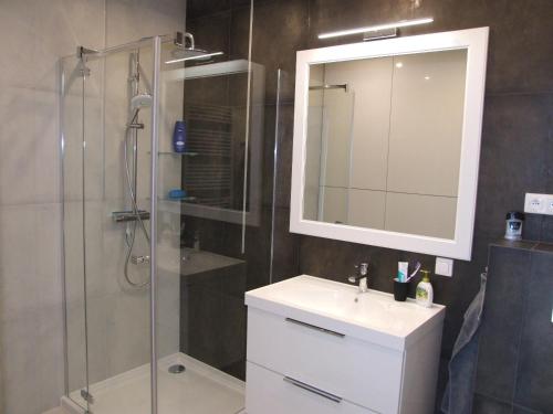 a bathroom with a shower and a sink and a mirror at Apartament nad morzem, Gdańsk Zaspa in Gdańsk