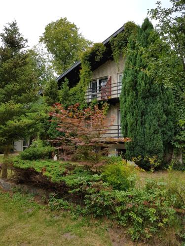 Pokoje i apartamenty przy Sosnowej