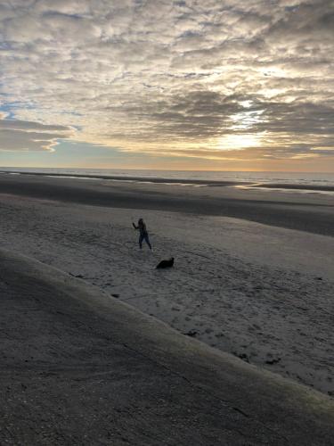 a person walking on the beach with a dog at Villa Mowgli in De Panne