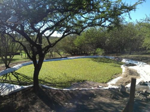 a park with a tree in the middle at Complejo Megevand in Río Ceballos