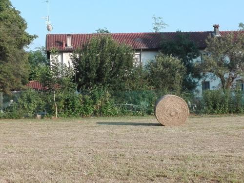 a hay bale sitting in the middle of a field at Il Casolare del Medio Olona in Fagnano Olona