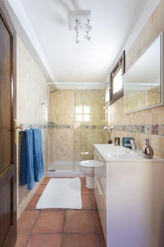 a bathroom with a sink and a toilet and a shower at Casitas La Brenda y La Gaga in Los Realejos