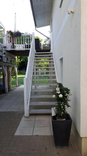 eine weiße Treppe mit einer Topfpflanze neben einem Gebäude in der Unterkunft Ferienapartment MOHNBLUME in Eichwalde