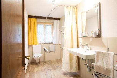a bathroom with a sink and a toilet and a mirror at Apartment Am Bach in Mellau