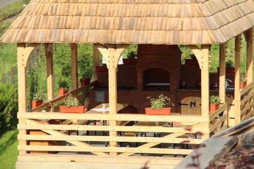 Zahrada ubytování Casa Ralucăi