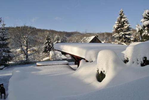 a yard covered in snow with a house at Penzion Garden in Cerny Dul