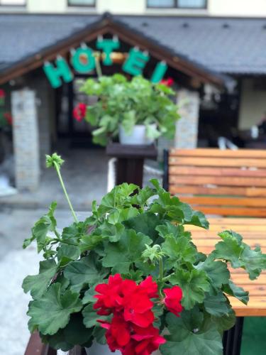 a pot of red flowers sitting on a bench at Hotel Pahuljica in Vlasic