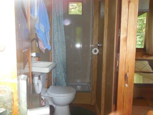 a bathroom with a toilet and a sink at Robinson Crusoe in Lagodekhi