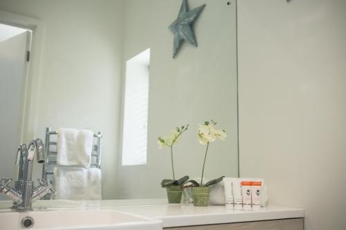 a bathroom with a sink with a starfish on the wall at George Hotel, BW Signature Collection in Norwich