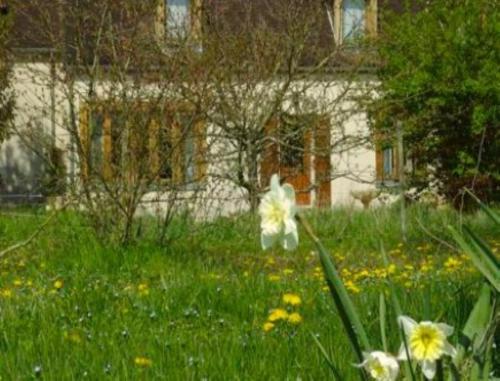 a field of grass with flowers in front of a house at Chambres d'Hôtes Les Pierries in Vézannes