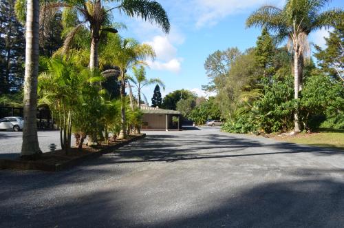 a street with palm trees and a house in the distance at Woodlands Motel in Kerikeri