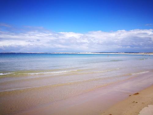a view of the beach with the ocean in the background at Peniche's Blue & Yellow in Peniche