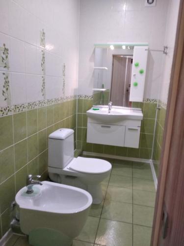 ゼリョンナヤ・ポリャナにあるApartments on Kurortnaya 33の緑と白のバスルーム(トイレ、シンク付)