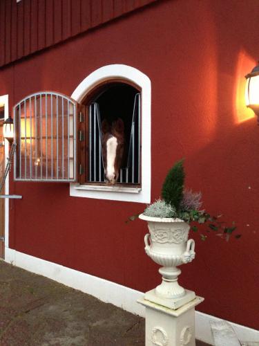 a horse sticking its head out the window of a barn at Bashults Gård in Jönköping