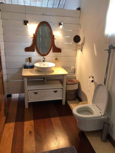 a bathroom with a sink and a toilet and a mirror at La grange de G. in Grand Gaube