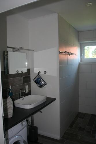ein Bad mit einem Waschbecken und einem WC in der Unterkunft Holunder Hüsken in Oberlangen