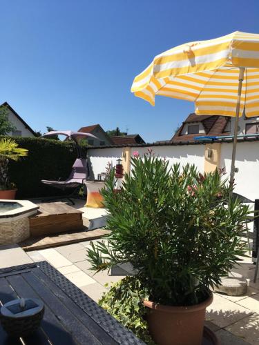 a patio with an umbrella and a potted plant at Gästehaus Tante Tienchen 7 Minuten zu Fuss zum Europa Park , plus kostenloses Parkplatzticket Rulantica ,alle unsere Suiten haben einen Balkon in Rust