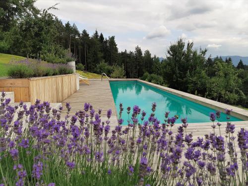 einen Pool in einem Garten mit lila Blumen in der Unterkunft Lavender Hill, Eko Resort & Wellness in Polzela