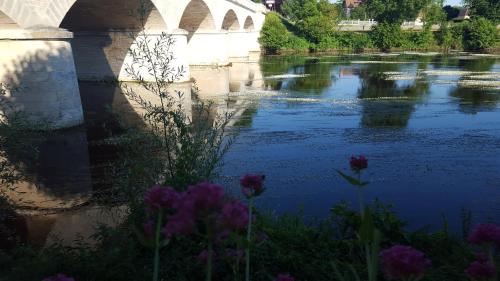 a bridge over a river with flowers in the foreground at Hôtel de France in Saint-Savin-sur-Gartempe