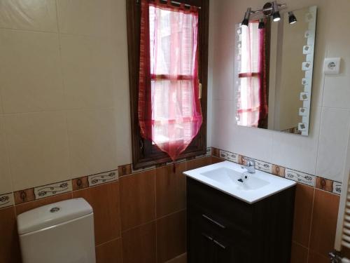 ビエルサにあるEdelweissのバスルーム(洗面台、トイレ、鏡付)