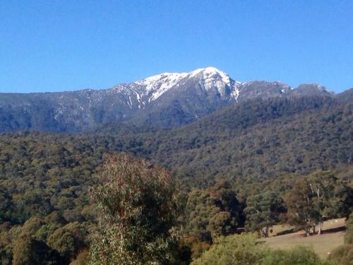 a snow covered mountain in the middle of a forest at Stone Creek Cottage in Barwite