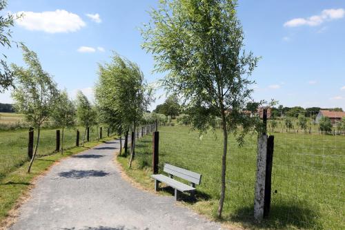 a park bench on a dirt road next to a fence at La Ligule in Mignault