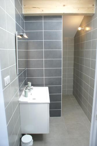 une salle de bain avec un lavabo blanc et des toilettes dans l'établissement Weiden, à Morzine
