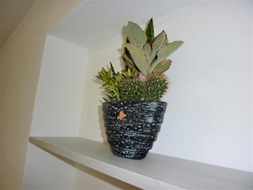 a black vase with a plant on a shelf at Trentino Apartments - Casa ai Tolleri in Folgaria