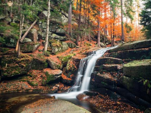 a waterfall in a forest with autumn foliage at Pałac Margot Nature&SPA in Karpacz