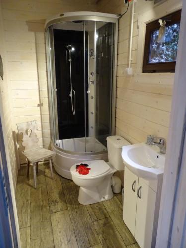 a bathroom with a toilet and a shower and a sink at Wysockie Zacisze in Osowa