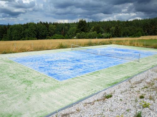 a tennis court with a net on a field at Country House in Czech Forest with Pool in Konstantinovy Lázně