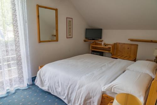 a bedroom with two beds and a mirror and a television at Sporthotel Europa Sul Lago in Alleghe