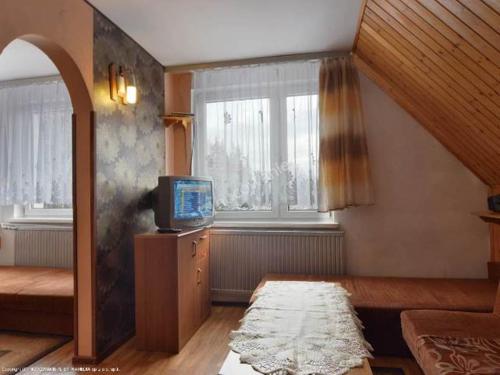 a living room with a tv and a bed and a window at Domlesny in Kiczora