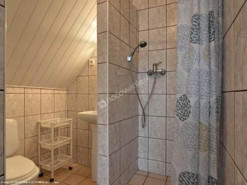a bathroom with a shower and a toilet at Domlesny in Kiczora