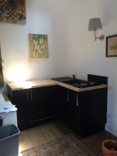 uma cozinha com armários pretos e um lavatório em Les appartements d artiste de la Villa du 15 - Restaurant La Maison - piscine chauffée em Les Eyzies-de-Tayac