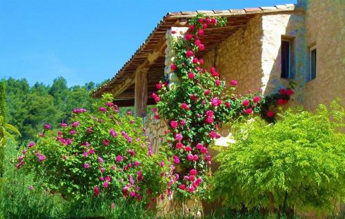 a building with pink flowers on the side of it at Le Mas Sérénité in Ansouis