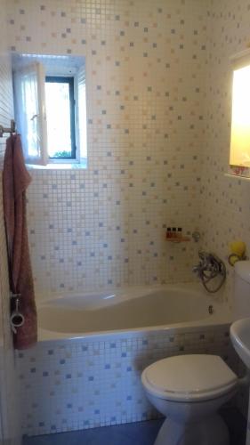 Bilik mandi di Stone Guest House