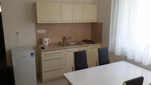 a small kitchen with a sink and a refrigerator at Rekreačný dom Flóra in Veľký Meder