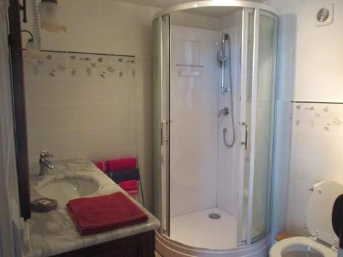 a bathroom with a shower and a sink at Chambre d'Hôtes Les Ormeaux in Saint-Georges-des-Côteaux