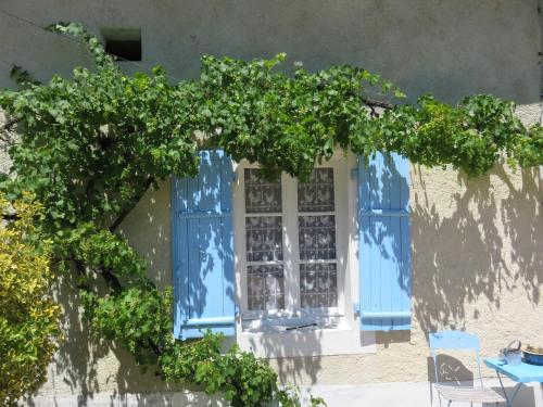 a window with blue shutters and a vine at Lemoniegites in Lemonie