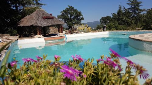 Πισίνα στο ή κοντά στο Le relais magique des sorciers et ses énigmes