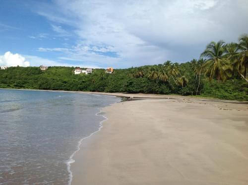 a sandy beach with palm trees and the ocean at La Sagesse Hotel, Restaurant and Beach Bar in Content